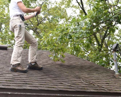 Jennifer Ohmes Roof Inspection